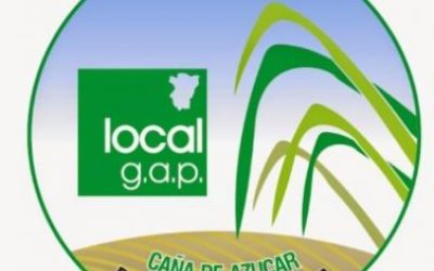 2019: Un buen año para la certificación Localg.a.p. en Tucumán
